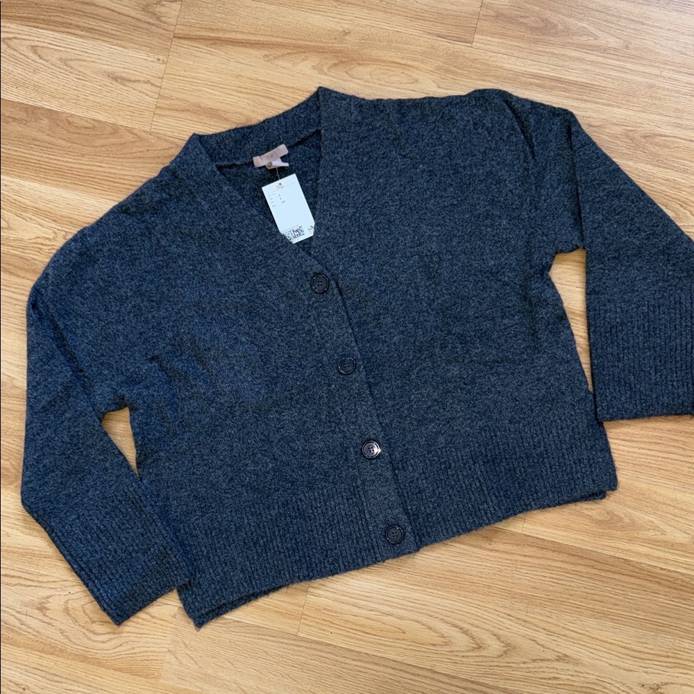 NWT H&M Gray Cardigan Sweater Size Small Wool Blend Poetcore Front Button V Neck